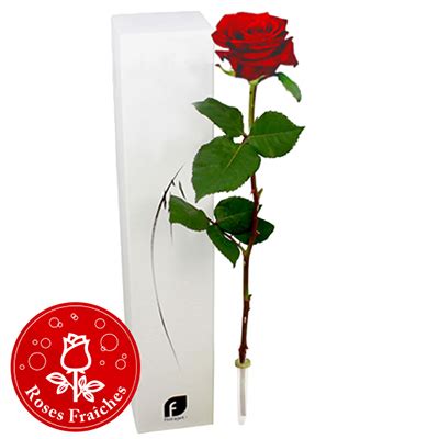 Prix D Une Rose à L unité Fleuriste Rose à l'unité 1 pièces pas cher à prix Auchan